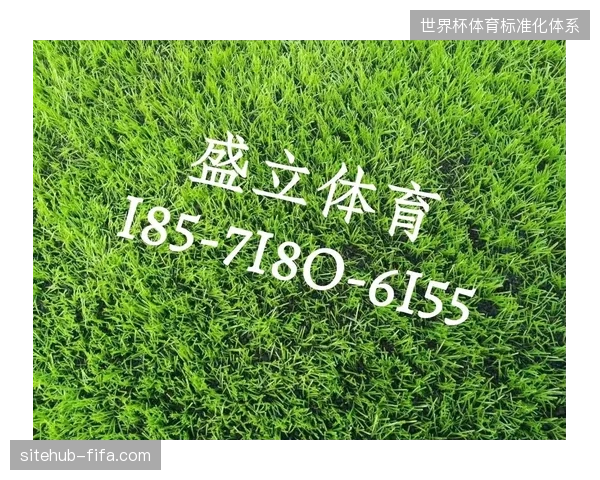 体育场馆升级不仅限于灯光草皮，视觉安防系统正在纠偏传统的管理误区